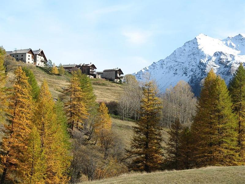 Auberge L'Estoilies Saint-Vérand Kültér fotó